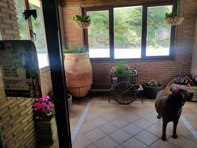 hotel petfriendly sierra nevada admite mascotas